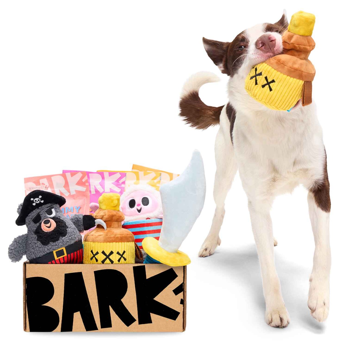 Top subscription boxes - Barkbox Top subscription boxes - Barkbox