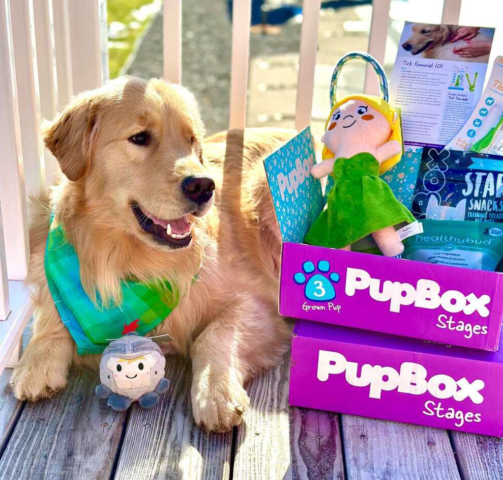 Top subscription boxes - PupBox Top subscription boxes - PupBox