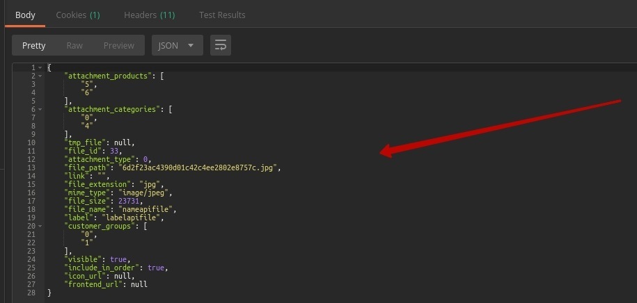 the file saved successfully in magento
