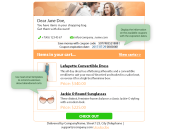 example of the email template